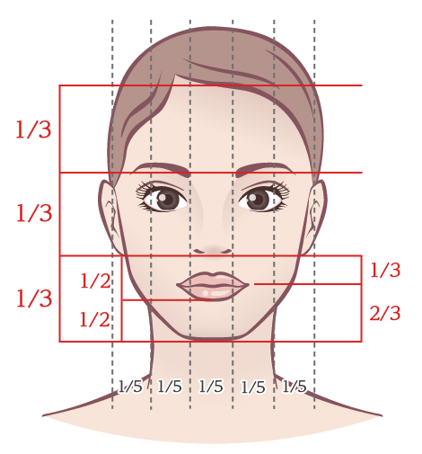 横の顔黄金比率