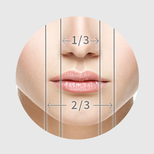 鼻の横幅が口に対して2/3