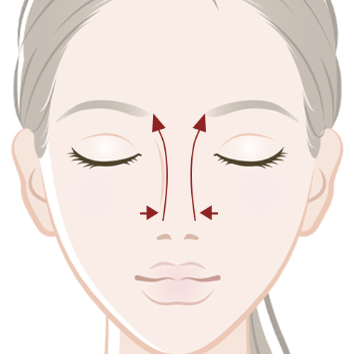 鼻筋に沿って老廃物を流す