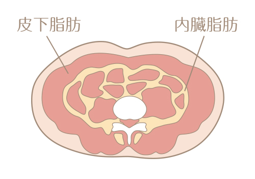 体脂肪とは?