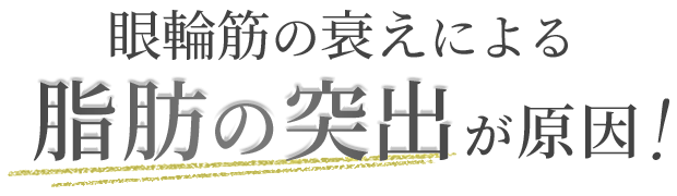 ジョウクリニックのクマ取り