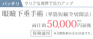 眼瞼下垂（挙筋短縮部分切開法）の料金