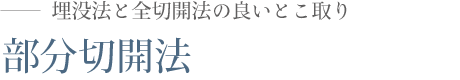 部分切開法