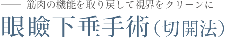 眼瞼下垂（挙筋短縮部分切開法）