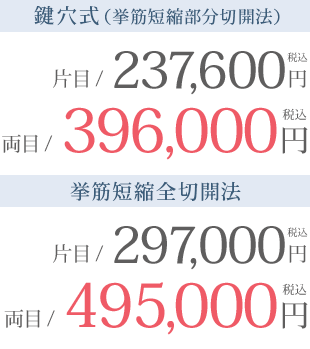 眼瞼下垂（挙筋短縮部分切開法）の料金