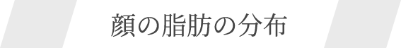 顔の脂肪の分布