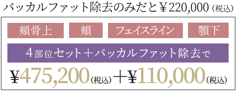 4箇所セット価格＋バッカルファット除去