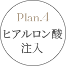 貴族手術 ヒアルロン酸注入