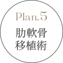 貴族手術 肋軟骨移植術