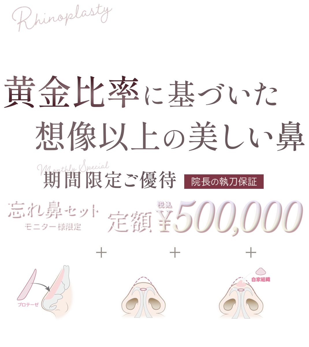 忘れ鼻セット\500,000