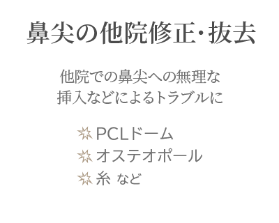 鼻フルコースオプション