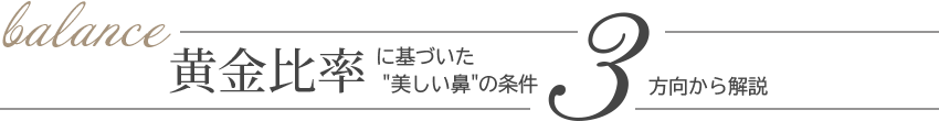 美しい鼻の条件