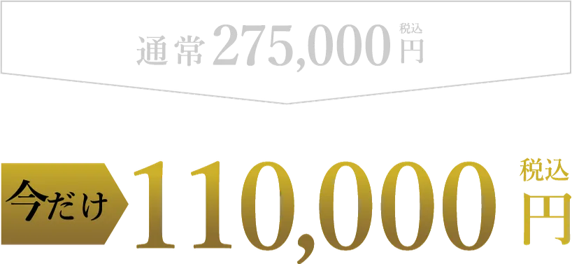 通常275,000円（税込）今だけ110,000円（税込）