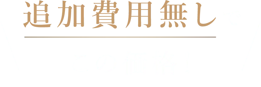 追加費用無しでこの価格！