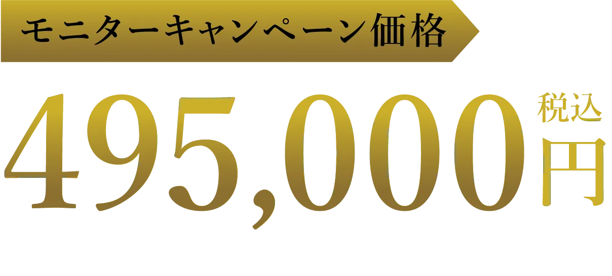 モニターキャンペーン価格 495,000円（税込）