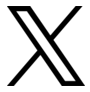 公式X