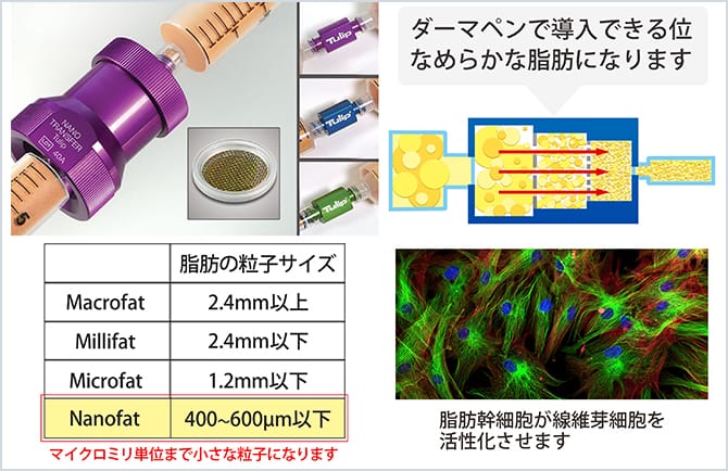 ナノファットについての説明