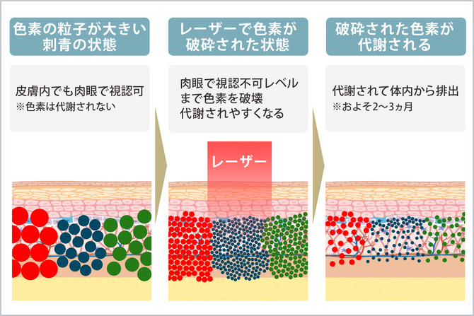 照射前後の色素
