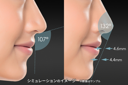 FACE Sculptor®