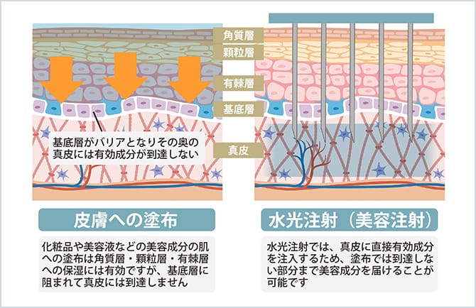 有効成分が到達