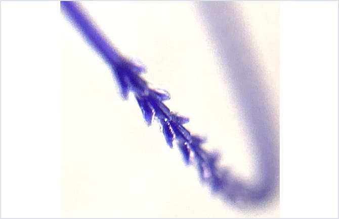 3Dスパイラルリフト