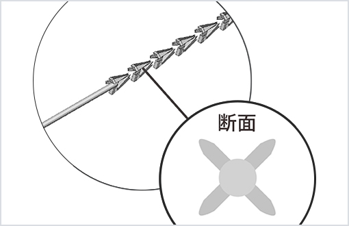 4Dデュアルクレオパトラリフトの断面