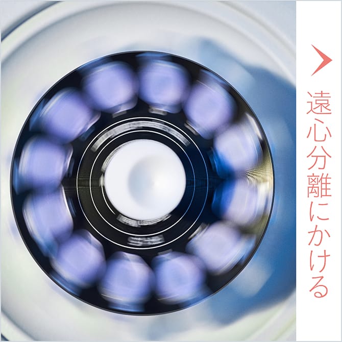 脂肪を精製・加工する様子の図