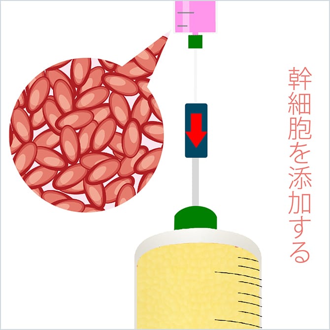 脂肪を精製・加工する様子の図