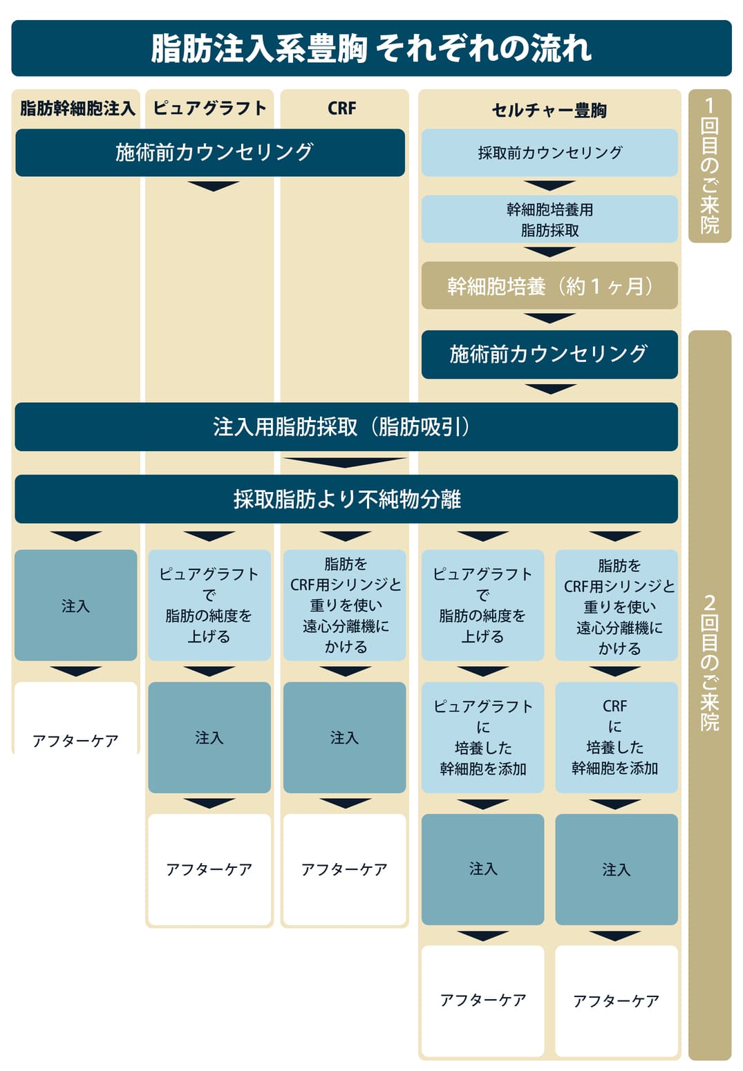 脂肪注入系豊胸 それぞれの流れ