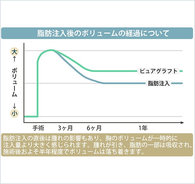 定着した脂肪は自己組織に