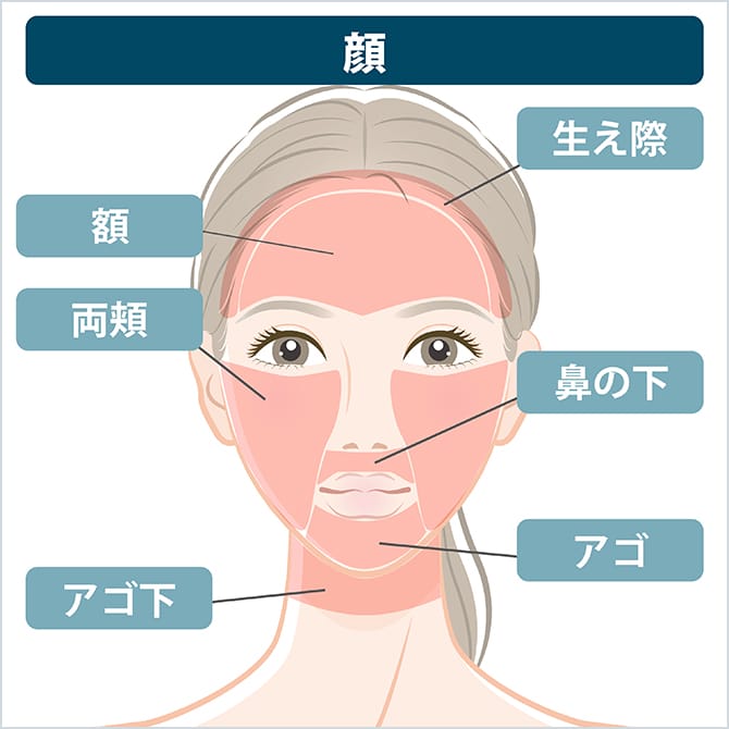 顔の施術部位の図