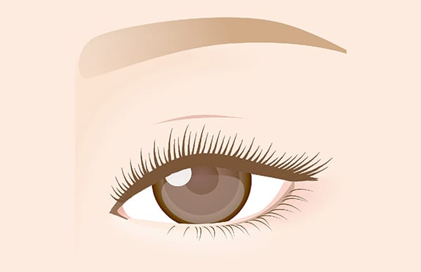 上まぶたが黒目に少し被さっている