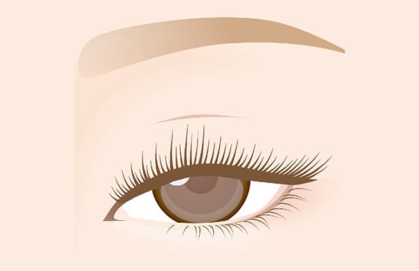 上まぶたが黒目の真ん中くらいまで被さっている