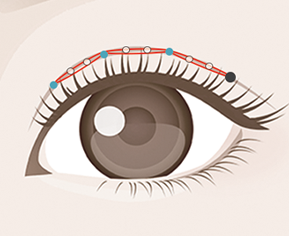 ハイブリッドクロス法裏表10点留めのイメージ