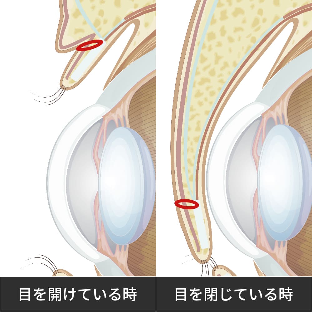 目を閉じたとき・目を開けたとき