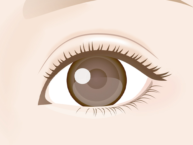 二重上・二重下の膨らみ(ハム目)