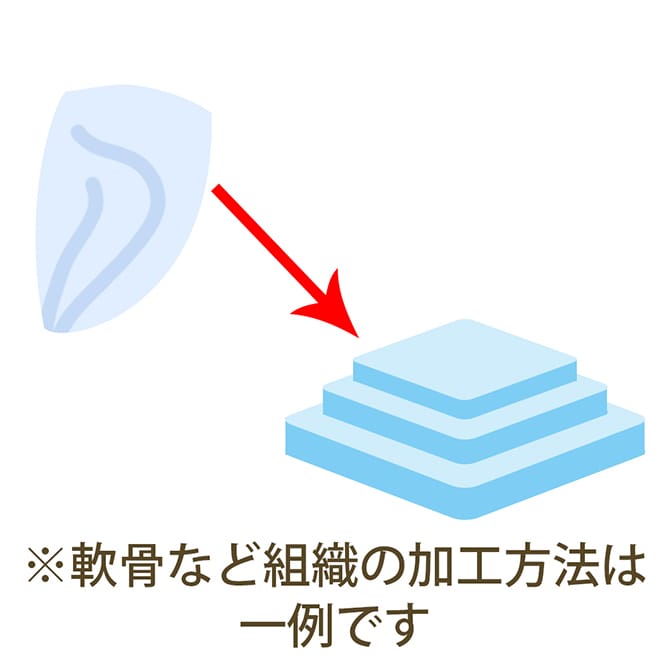 軟骨など自家組織の加工イメージ