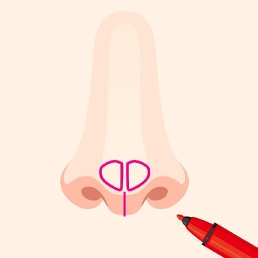 鼻にマーキングする図