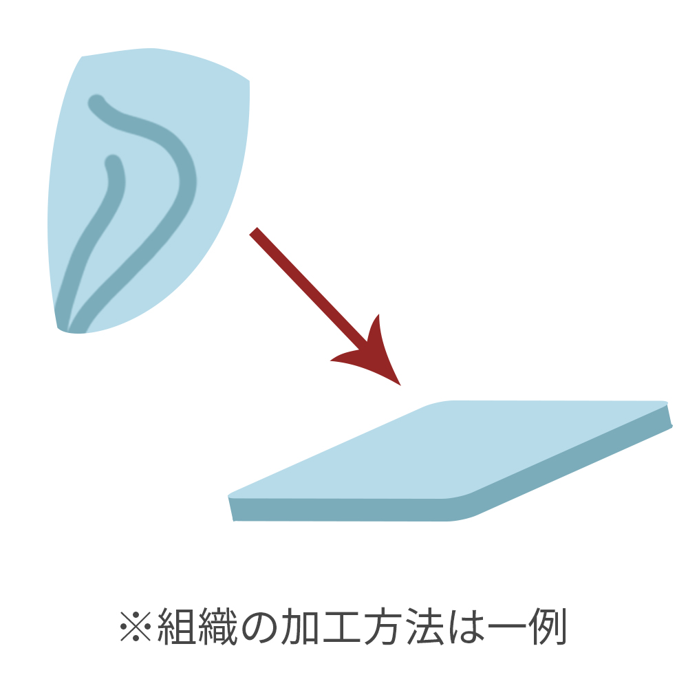 自家組織の加工イメージ