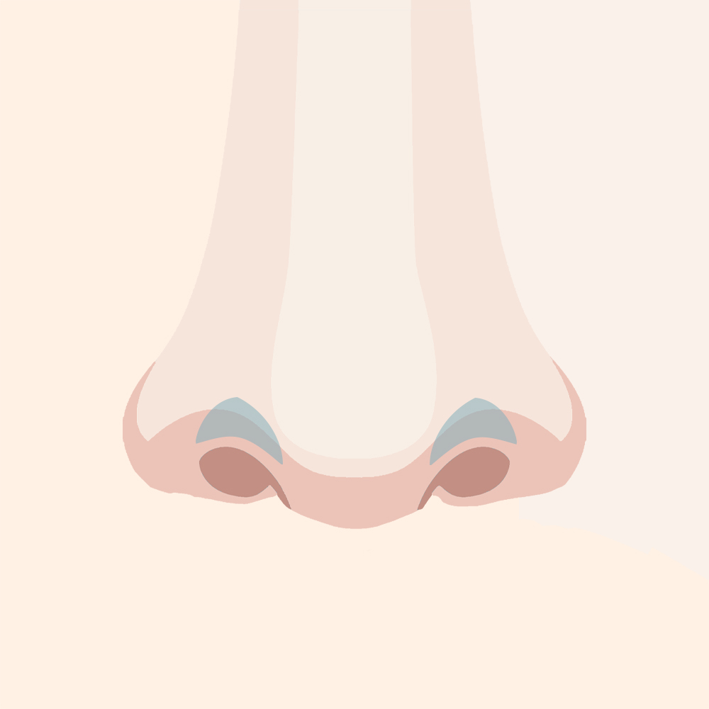 自己組織の位置を調整しバランスを整えるイメージ