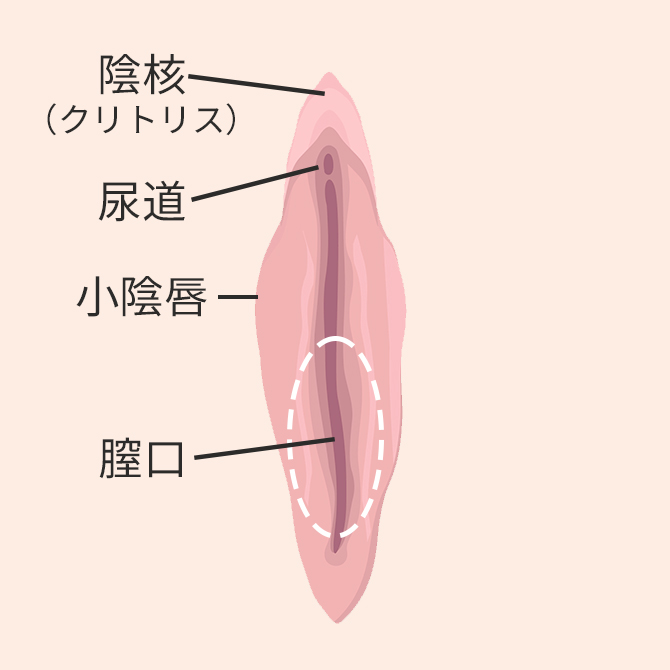 デザイン・麻酔