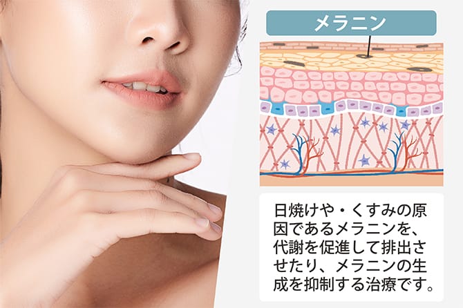 お肌とメラニン
