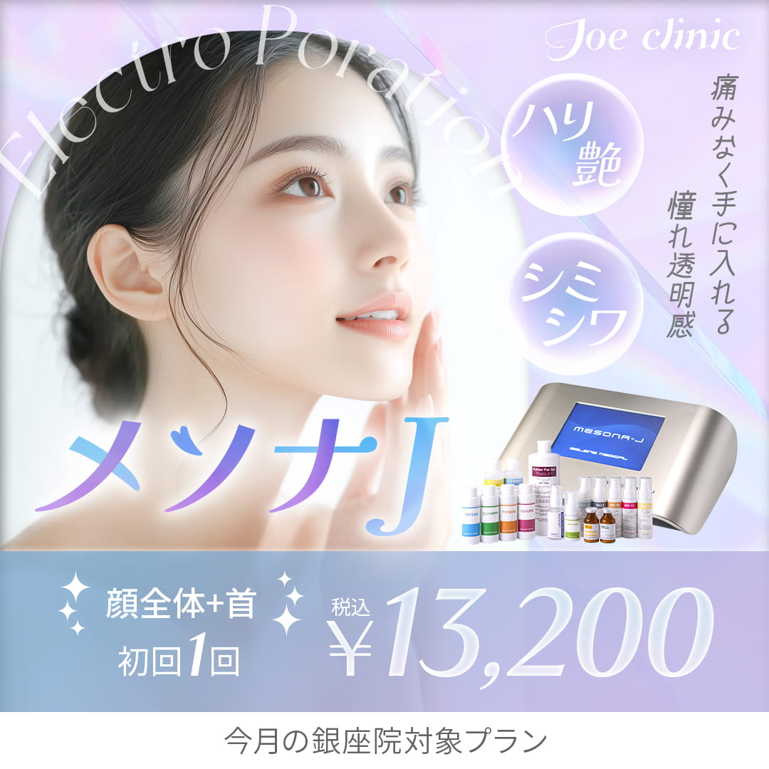 メソナJ 銀座院対象プラン